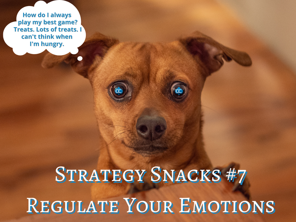 Strategy Snacks Dog